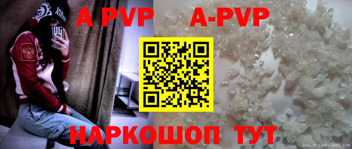 A PVP СК КРИС Сургут